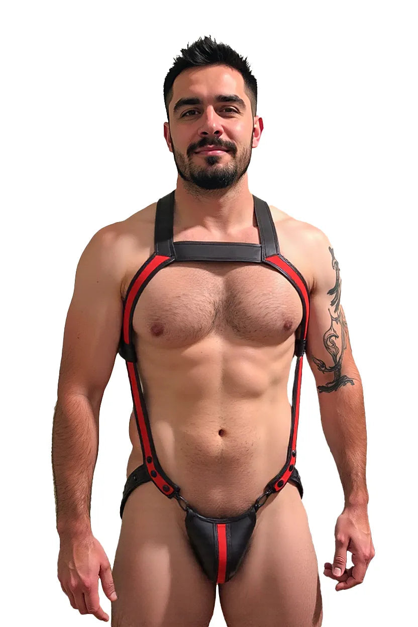 Best Sellers - Red & Black PU Harness
