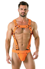 Joyglove Men's Blue Harness – Bold & Stylish Design
