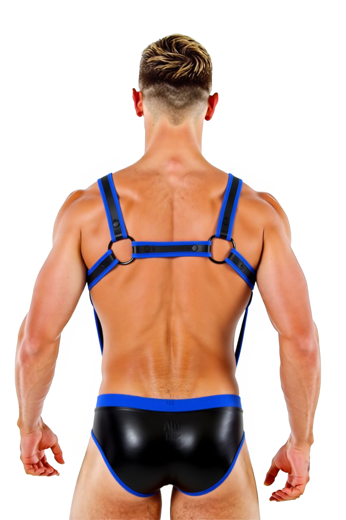 Joyglove Two-Tone Strappy Harness and Brief Set – Seductive Men’s Nightwea