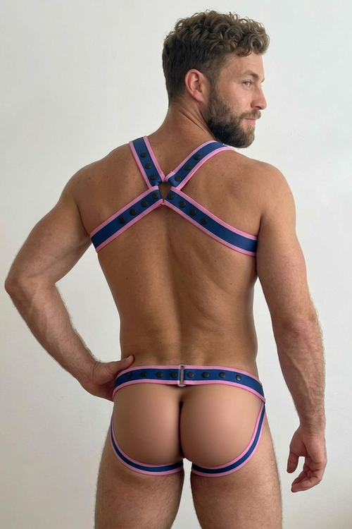 Joyglove Blue Pink Harness Set with Studded Strap Design