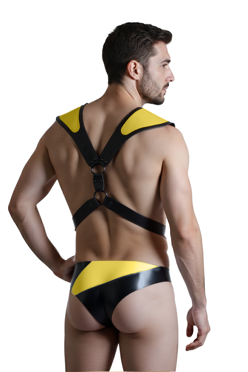 Joyglove Bold Two-Piece Set – Red Accented Harness and High-Cut Brief for Statement Styling
