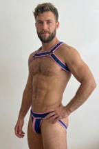 Joyglove Blue Pink Harness Set with Studded Strap Design