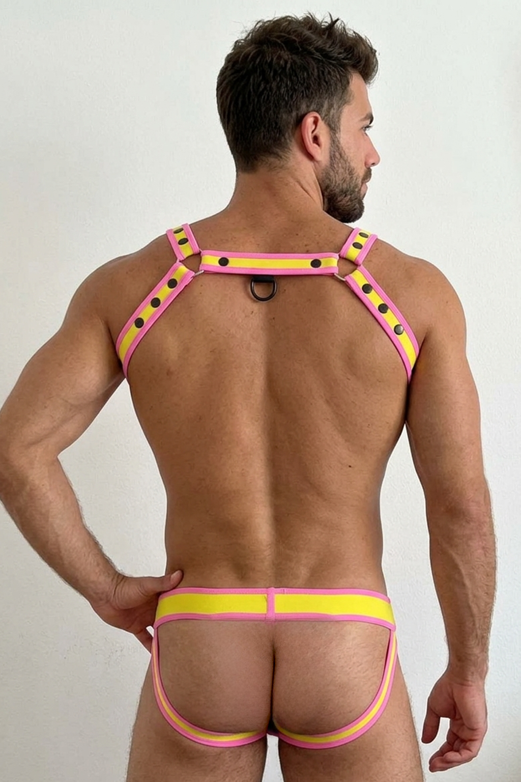 Joyglove Pink Blue Harness Set with Studded Strap Design