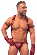 Joyglove Burgundy PU Leather Harness Set — O-Ring Back Straps + Metallic Jockstrap (No Gloves/Armbands)