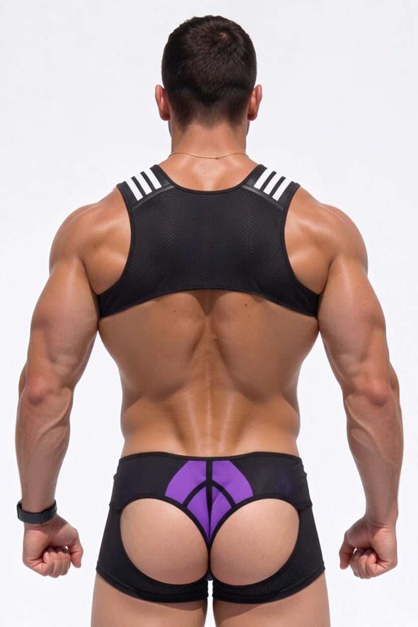 Joyglove Men’s Mesh Harness Jockstrap Shorts Set — Suspender Clips & Purple Panel Design