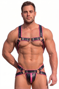 Men's PU Leather and Sheer Mesh Chest Harness Set - Gold Trim Front Zipper Alternative Rave Clubwear 2-Piece