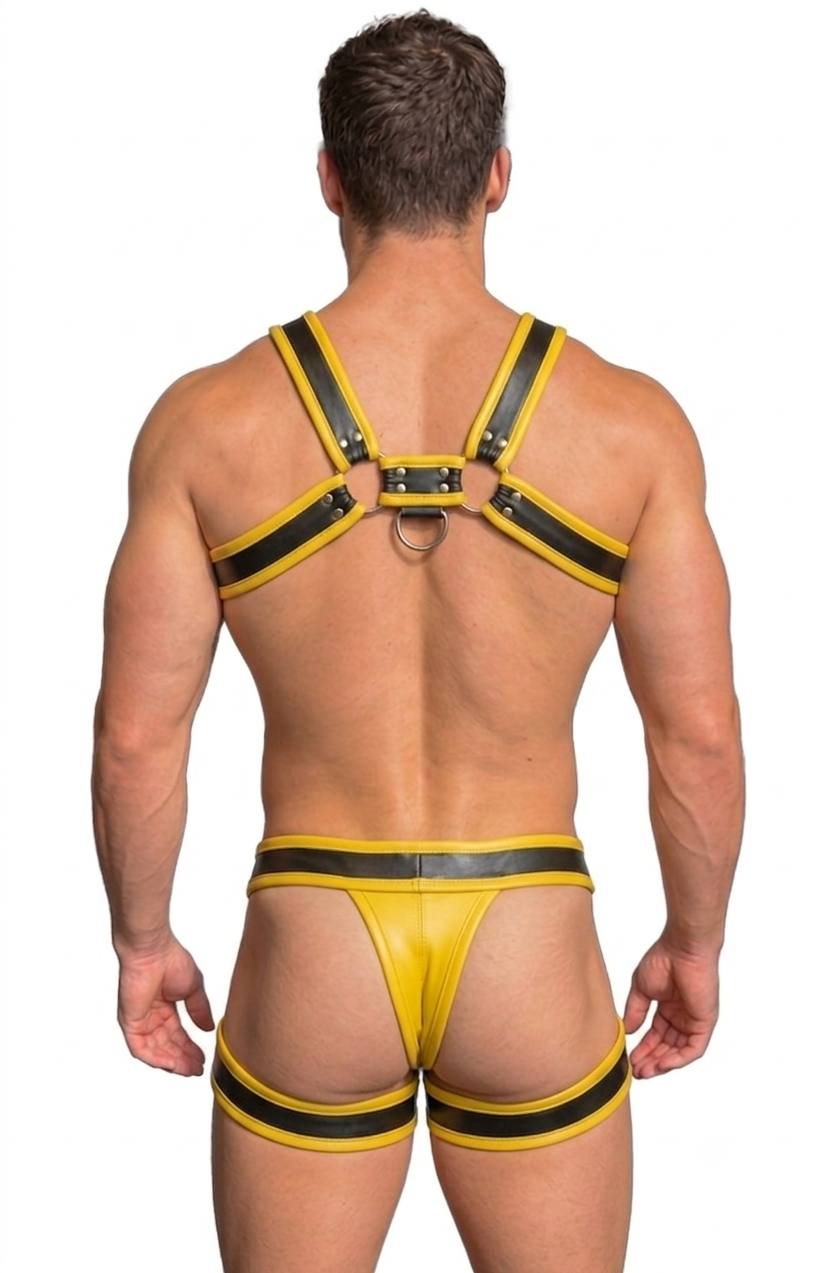 Joyglove Purple & Black Harness Set — Chest Harness + Pouch Brief with Leg Straps