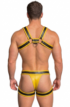 Joyglove Yellow & Black Harness Set — Chest Harness + Pouch Brief with Leg Straps