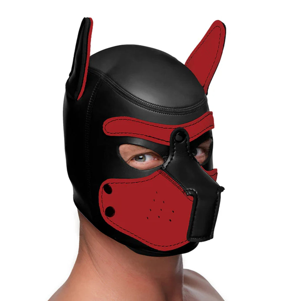 Joyglove Neoprene Puppy Hood（Ten colors）